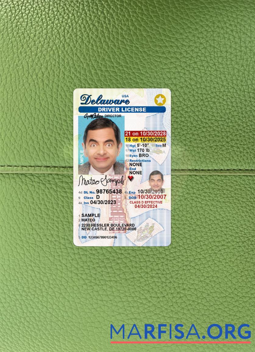 Downloadable USA Delaware under 21 driving license photolook real example